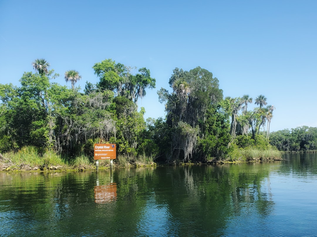 King Springs in Crystal River Preserve State Park